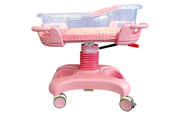 PRAY Care Luxury Bassinet D